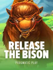 Release the Bison game thumbnail