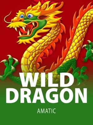 Wild Dragon game thumbnail